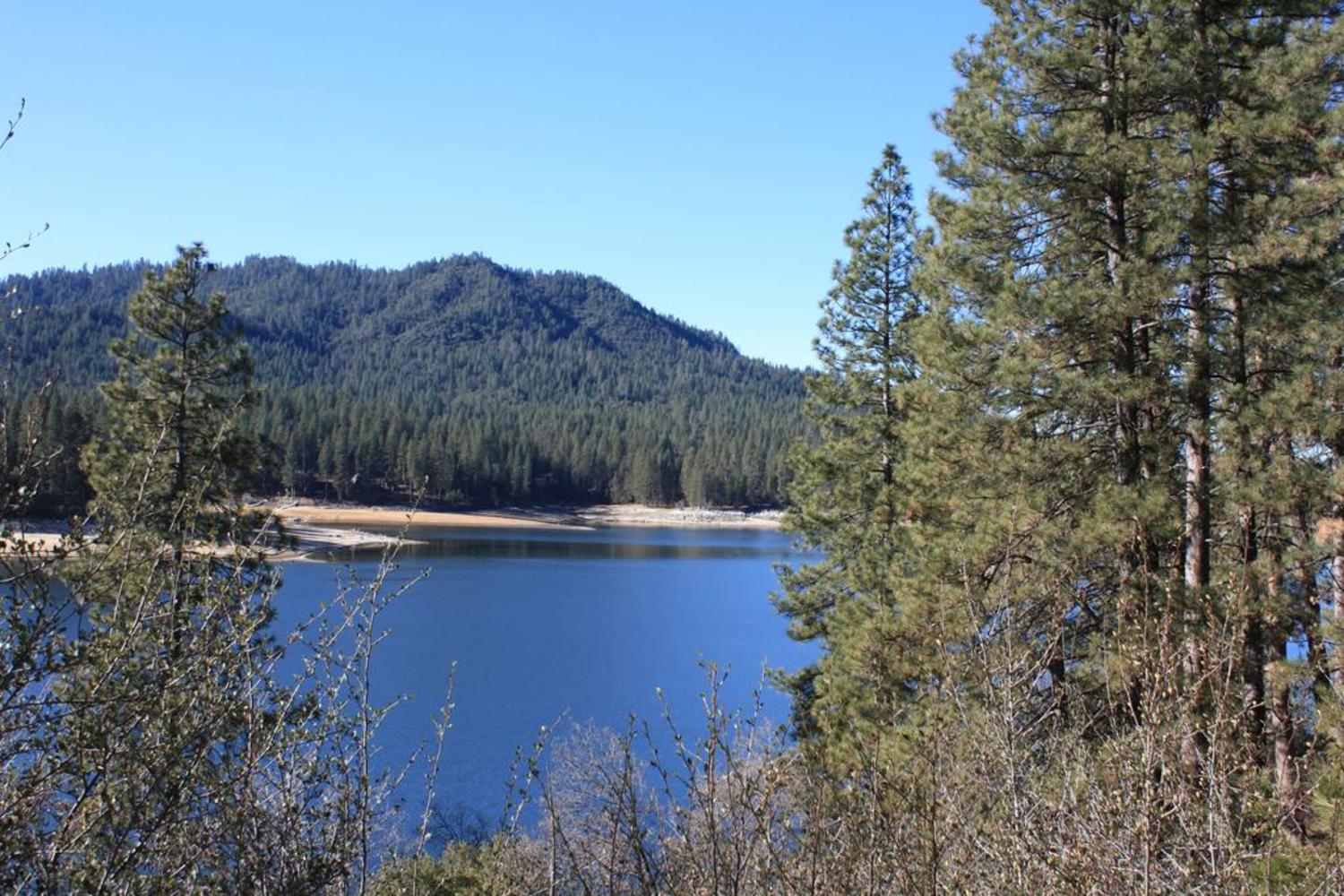 Resort The Pines & Conference Center 4*
